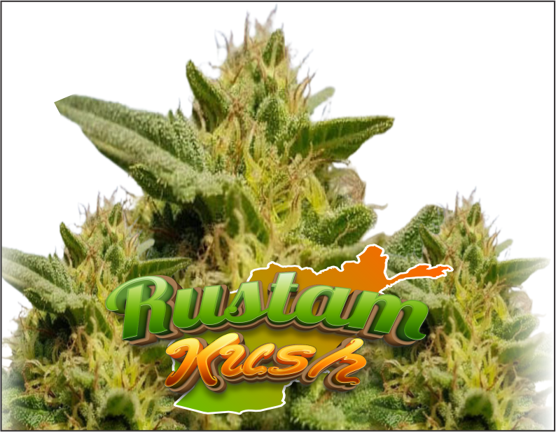 rustamkush-product1