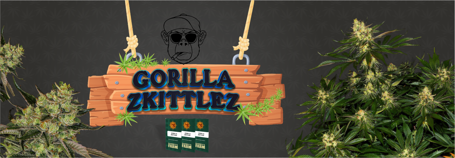 Gorillazklttlez