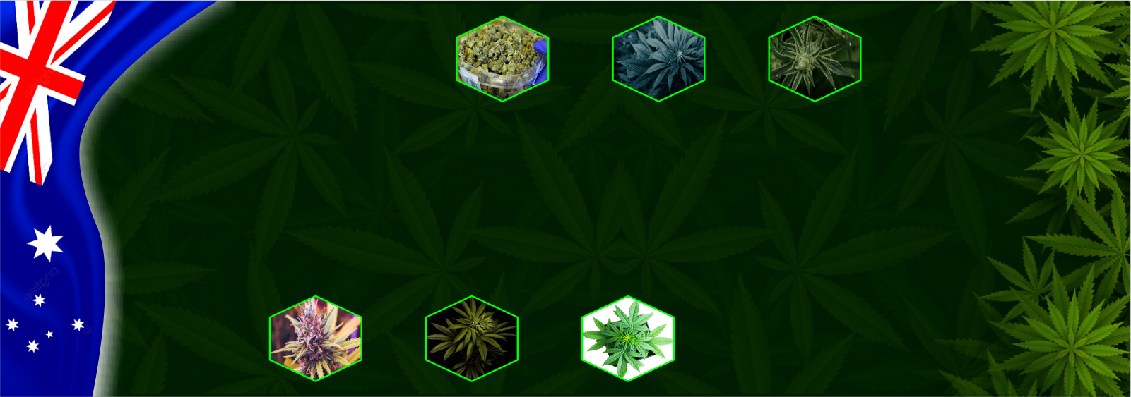 http://weedseedsexpress