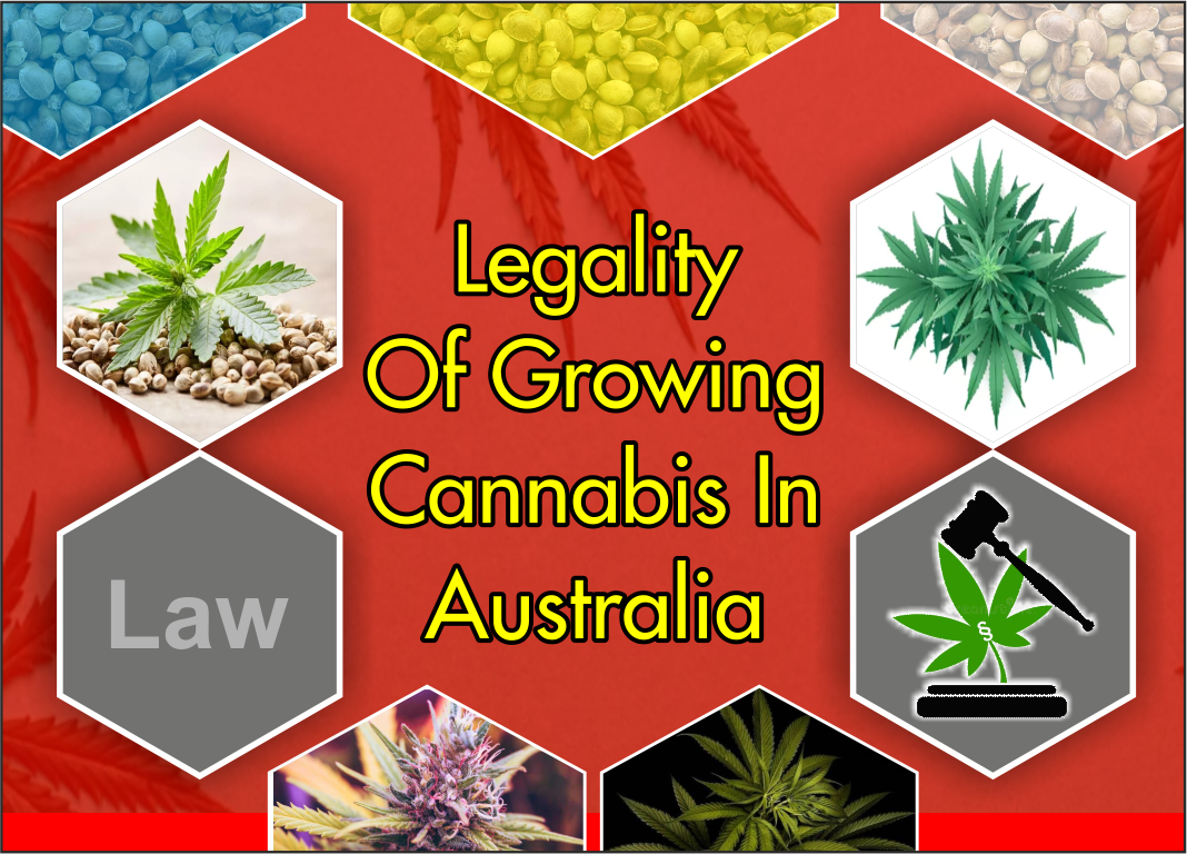 cannabis-legality-australia