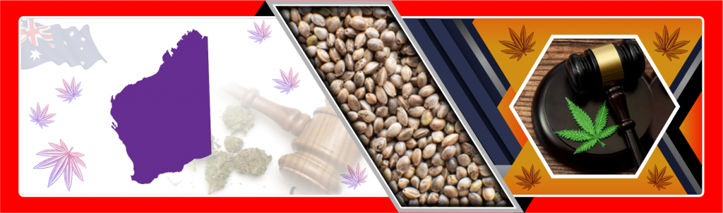 Aussie-Cannabis-Laws-Western-Australia