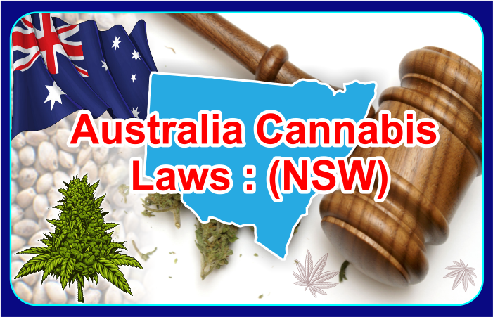 Australia Cannabis Laws: New South Wales - Aussie Canna Seeds