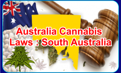 Cannabis-Laws-In-South-Australia