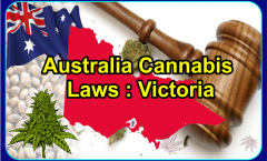 Cannabis-Laws-Victoria-Australia