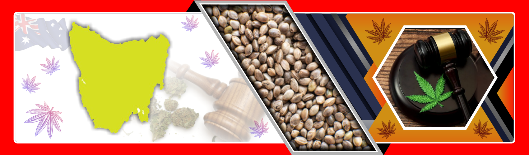 Cannabis Laws in Tasmania Aussie Canna Seeds