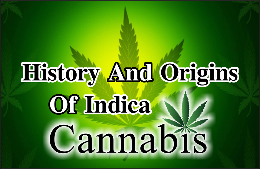 History And Origins Of Indica Cannabis