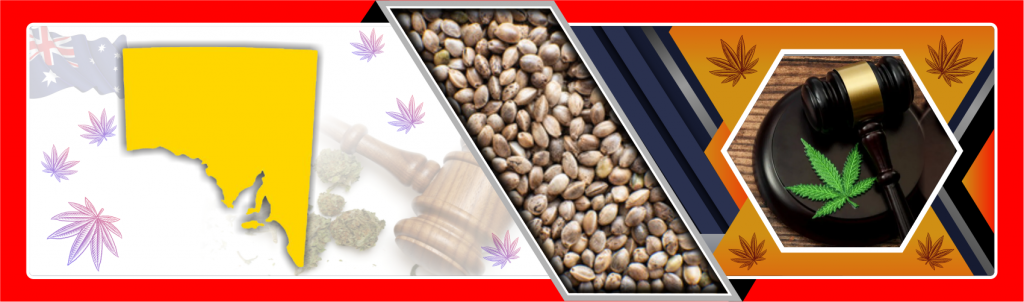 south-australia-cannabis-laws