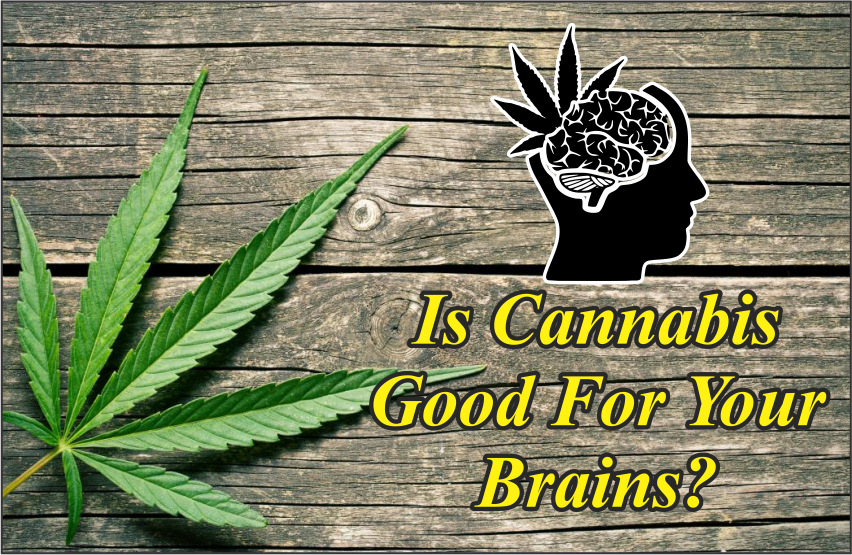 Is-Cannabis-Good-For-Your-Brains