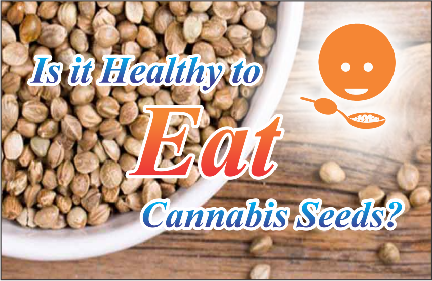 Is it Healthy to Eat Cannabis Seeds