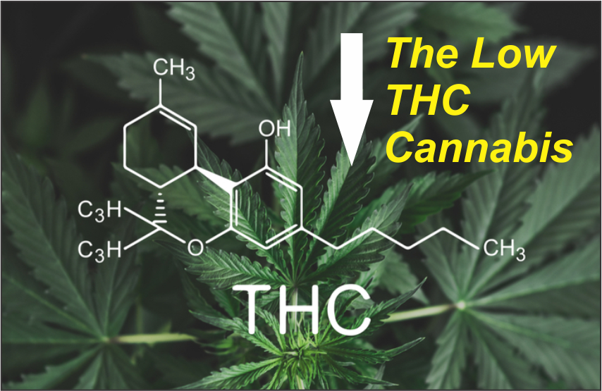 What Is Meant By The Low THC Cannabis