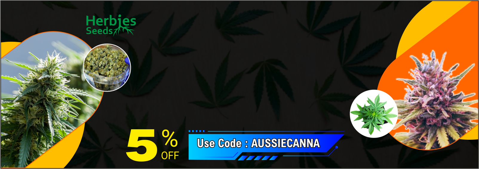 http://herbies%20seeds