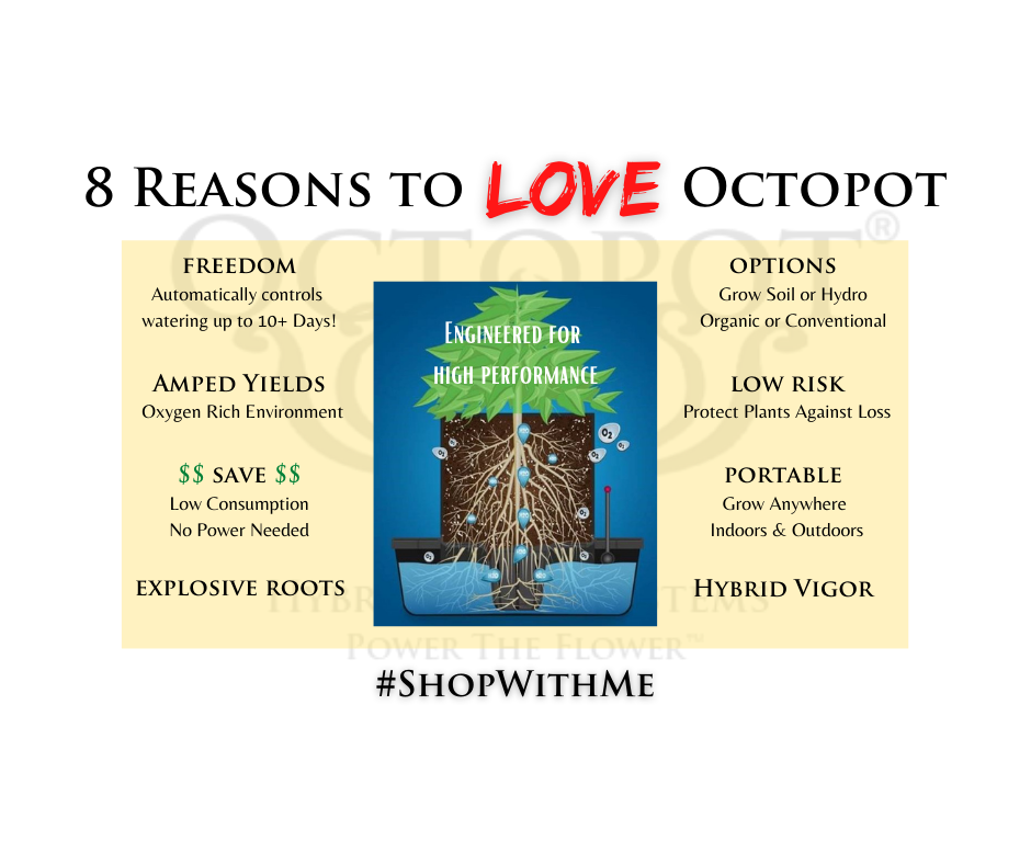 octopot