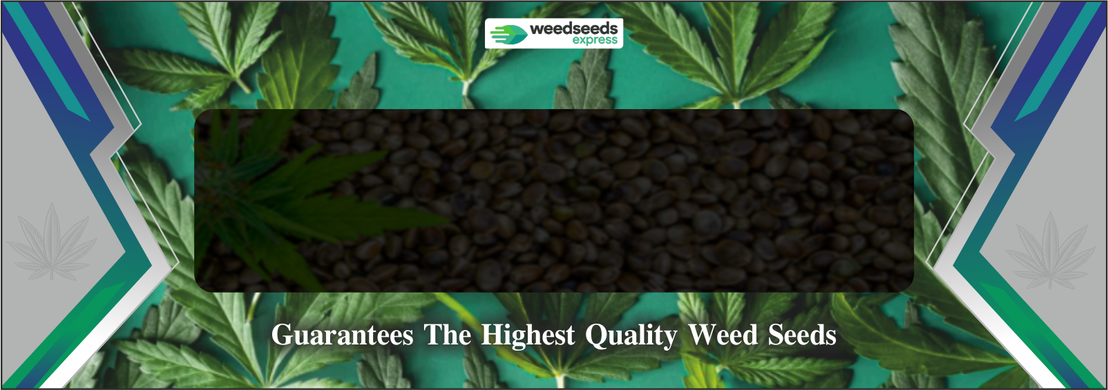 http://wse%20seeds