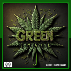 Green Crack