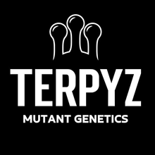 terpyzmutant
