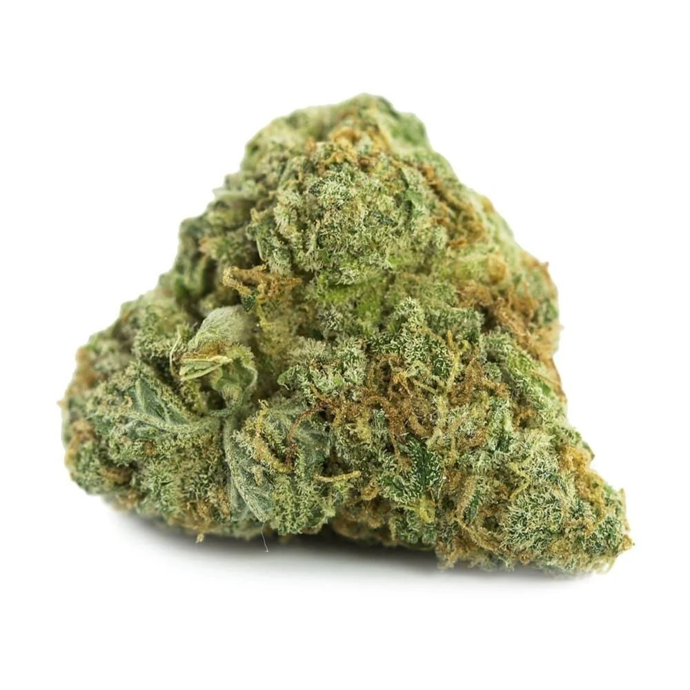 Critical feminized Australia Critical feminized seeds