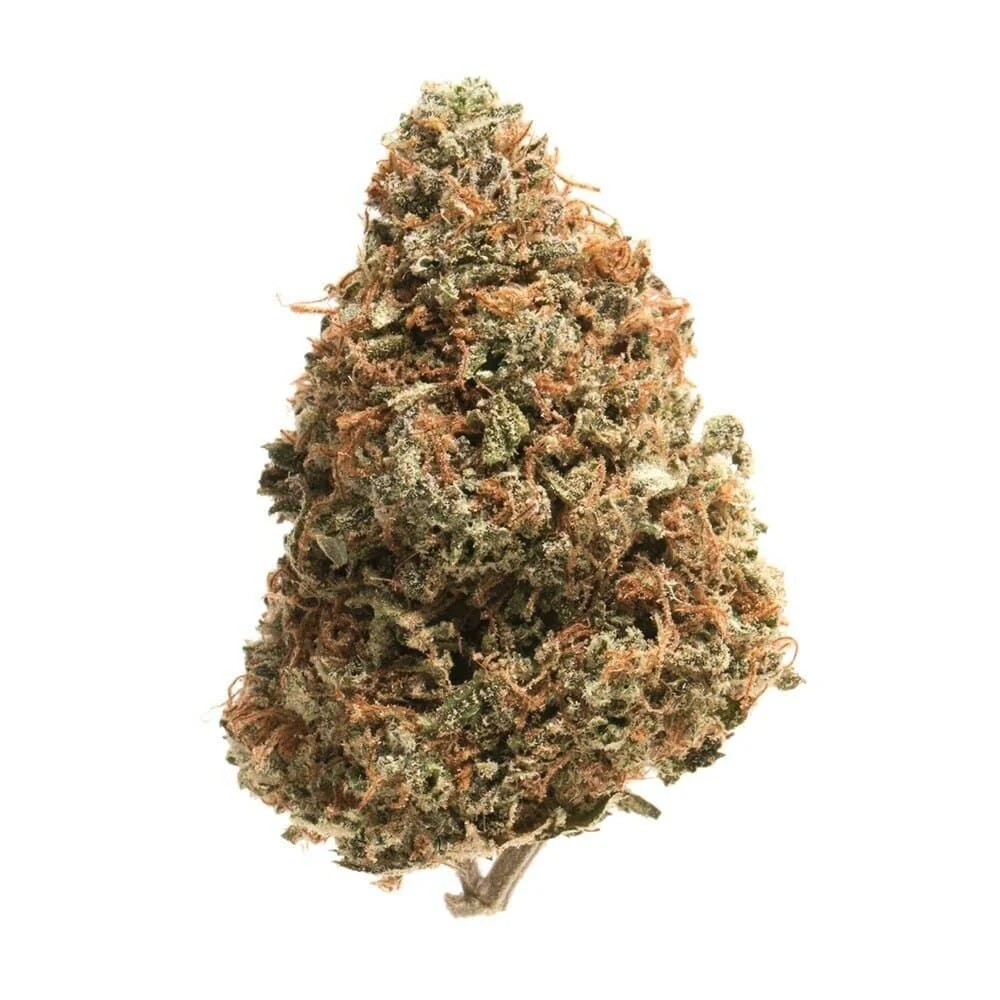 Exodus Cheese feminized seed Exodus Cheese feminized seeds