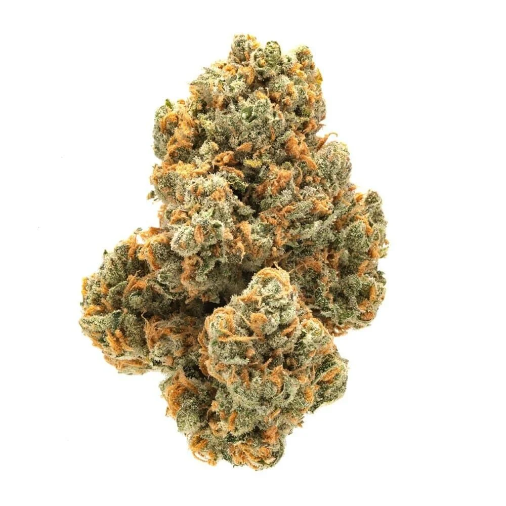 Green Crack Feminized Seeds blimburn Green Crack Feminized Seeds