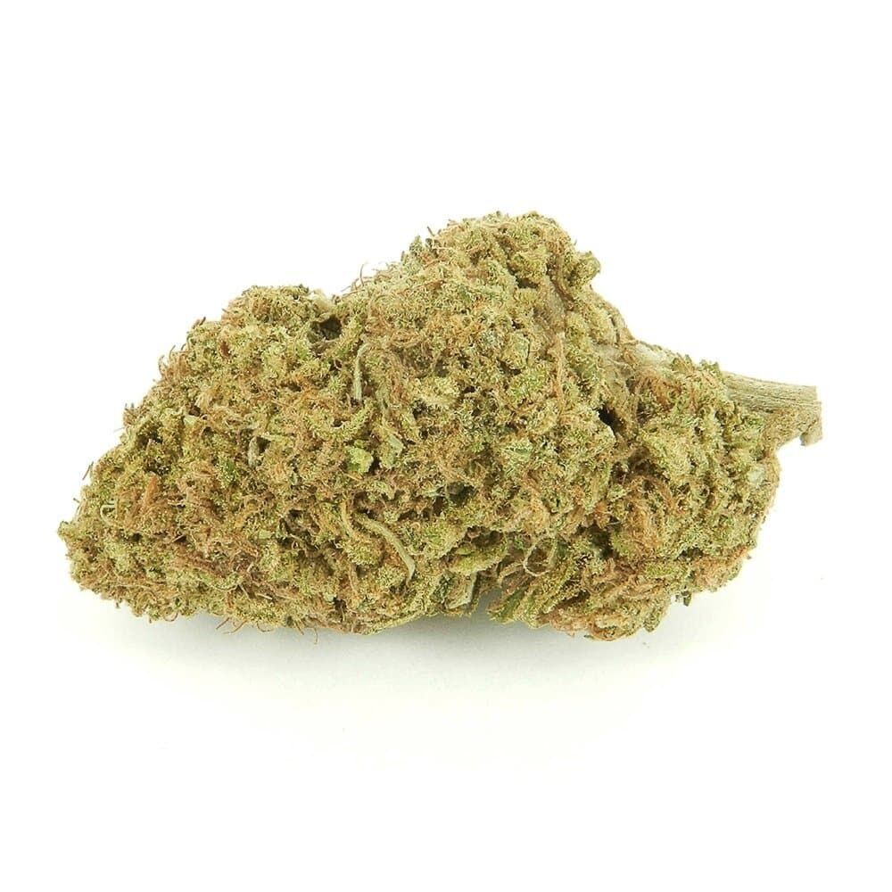 Pineapple Kush Autoflower Seed Pineapple Kush Autoflower Seeds