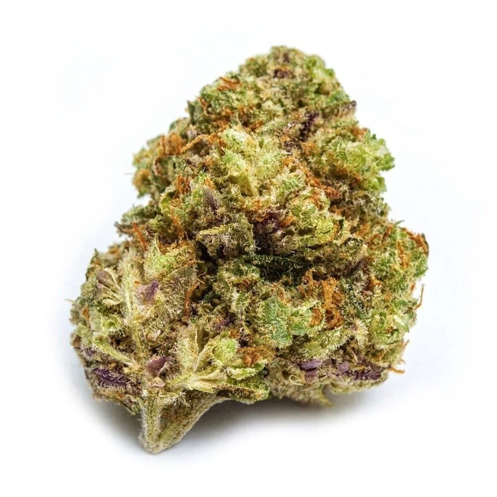 Stardawg Auto feminized Stardawg Auto feminized