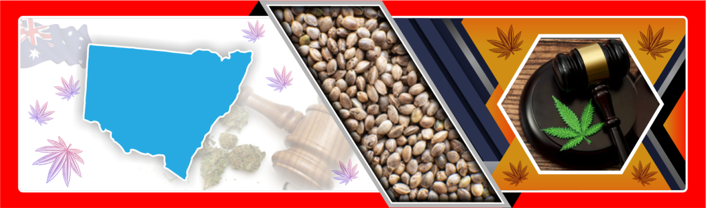 Australia Cannabis Laws New South Wales