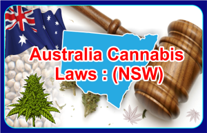 Australia Cannabis Laws: New South Wales