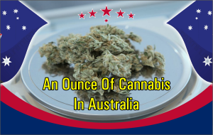 How Much Is An Ounce Of Cannabis In Australia