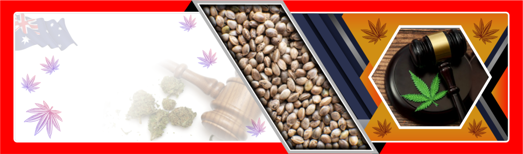 Australia Cannabis Laws Western Australia