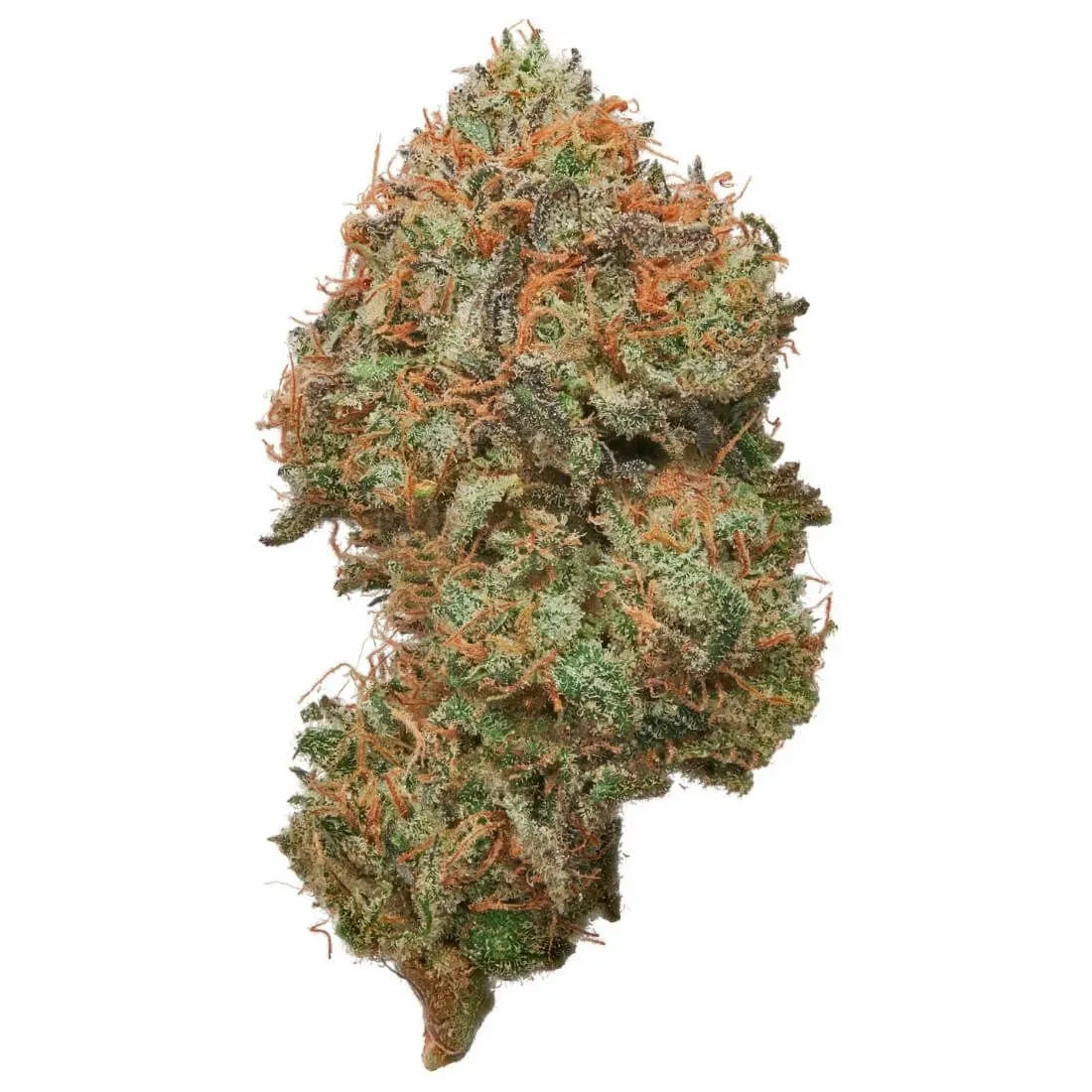 ACDC Feminized Cannabis Seeds