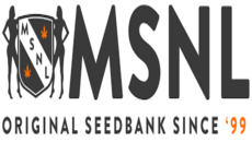 MSNL Seeds
