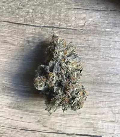 Runtz Muffin Seeds