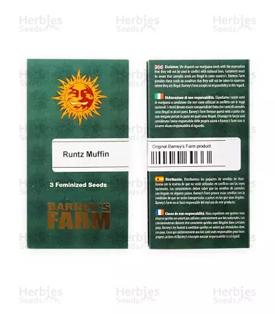 Runtz Muffin Seeds
