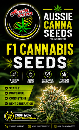 aussiecannaseeds F1 Cannabis Seeds F1 Cannabis Seeds Australia