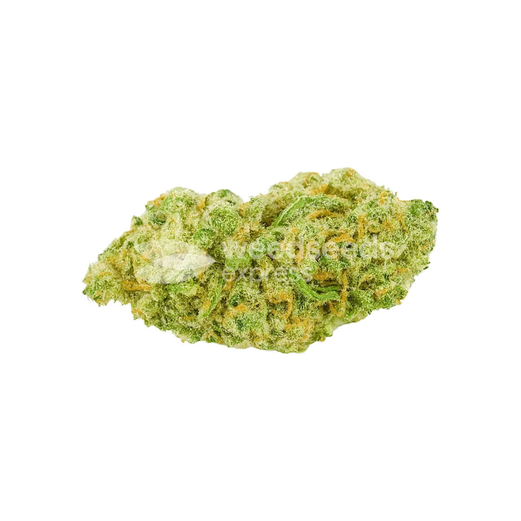 banana kush auto seeds australia
