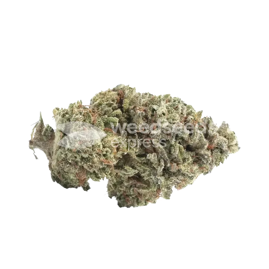 Canadian Haze Seeds Australia