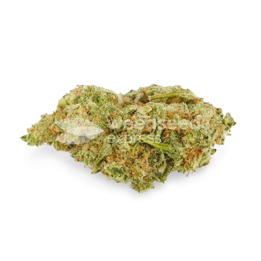 humboldt seeds australia