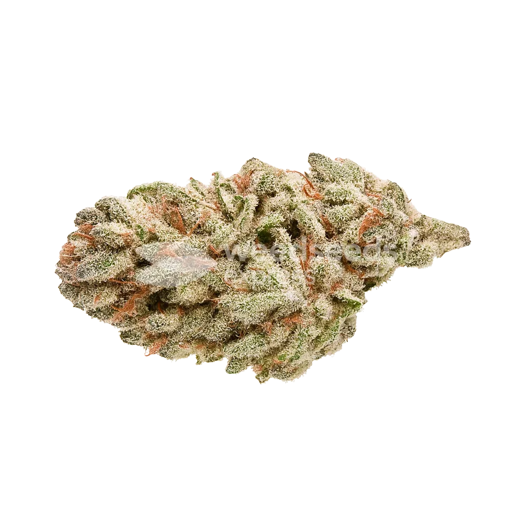 LA Confidential Auto seeds Australia