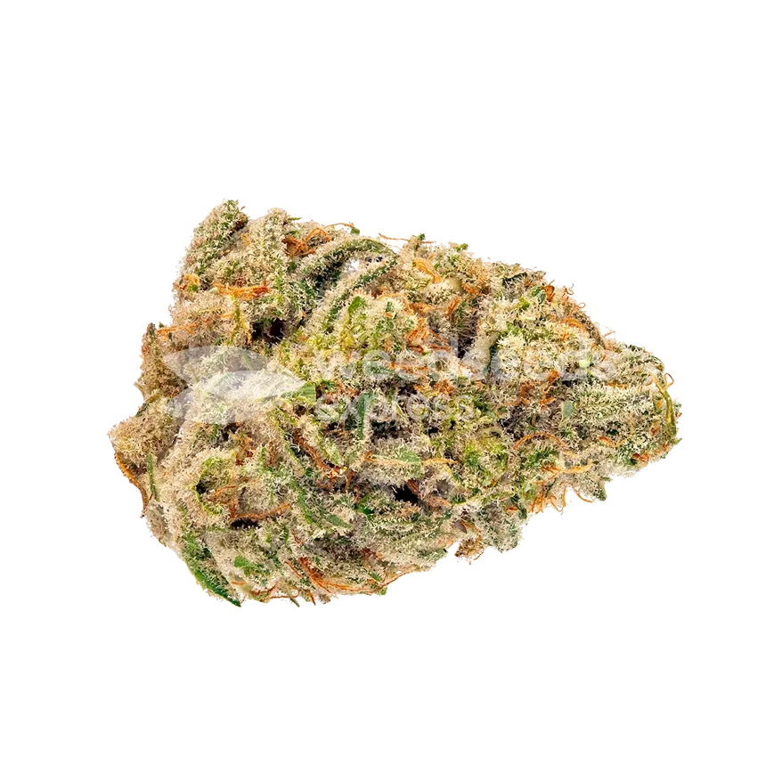 Legend OG Seeds Australia