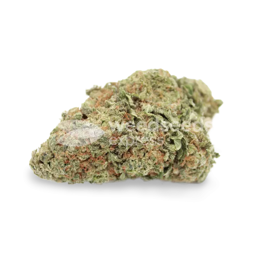 lithium og kush seeds australia