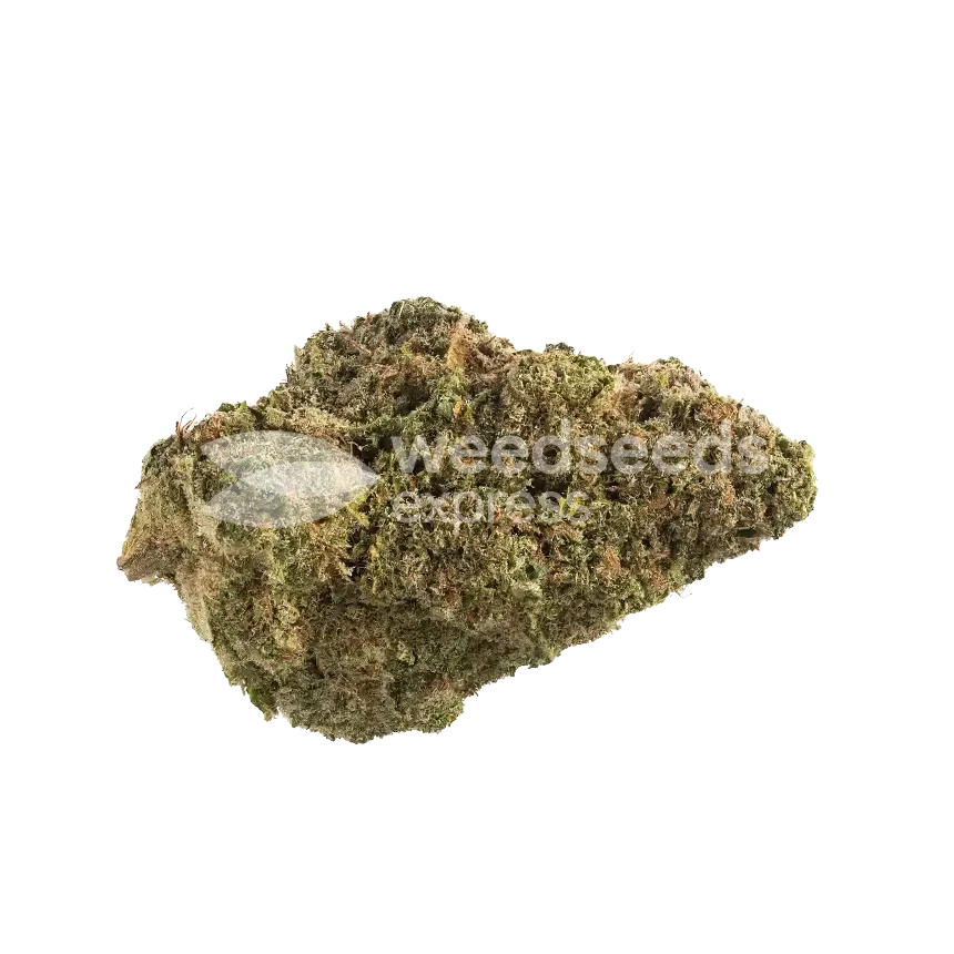Shiskaberry Seeds Australia