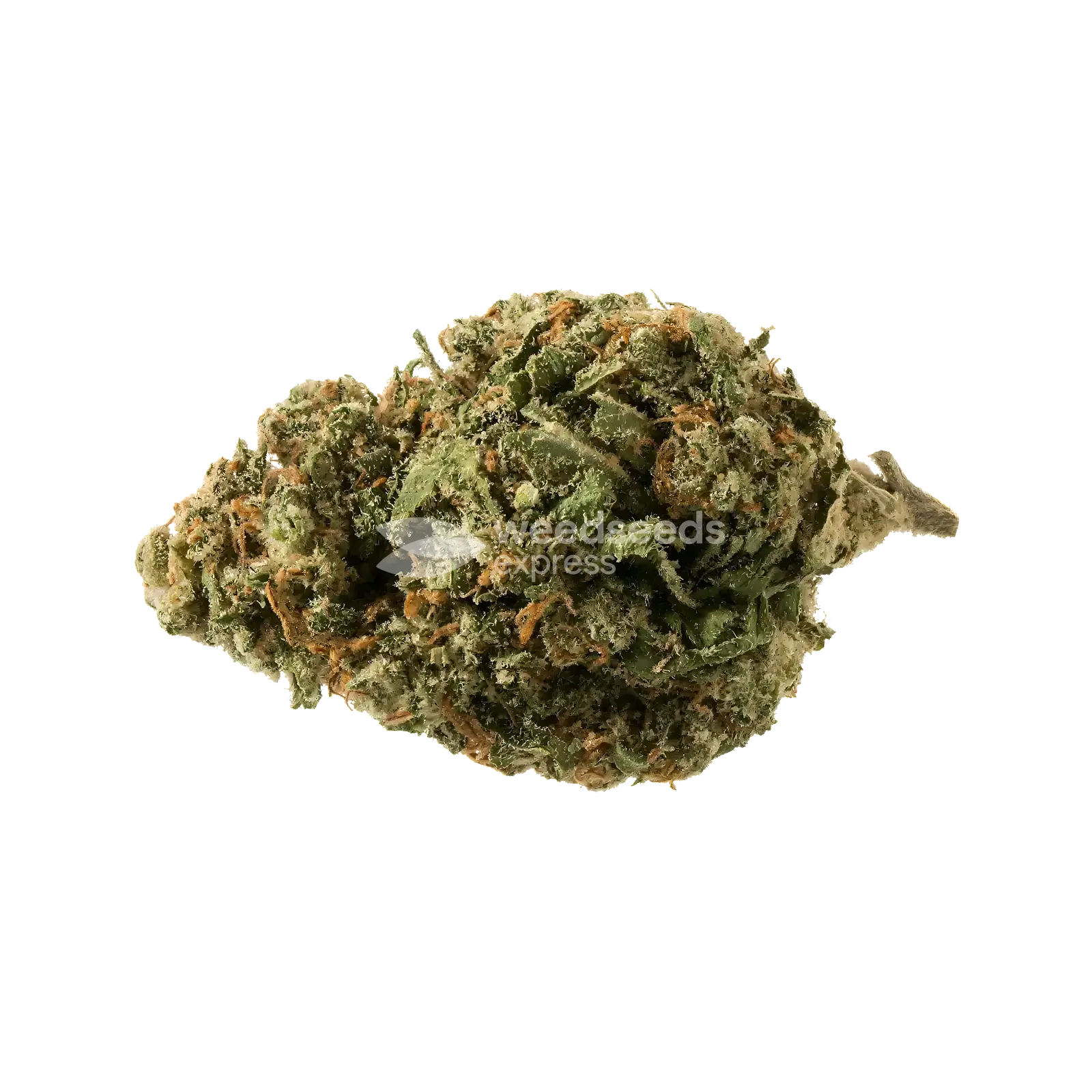 sundae driver seeds australia